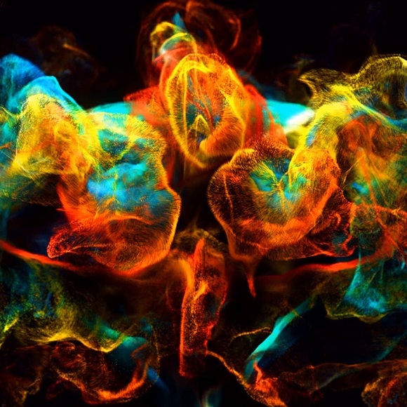 Meet your Posher, Kim - Picture 1 of 1